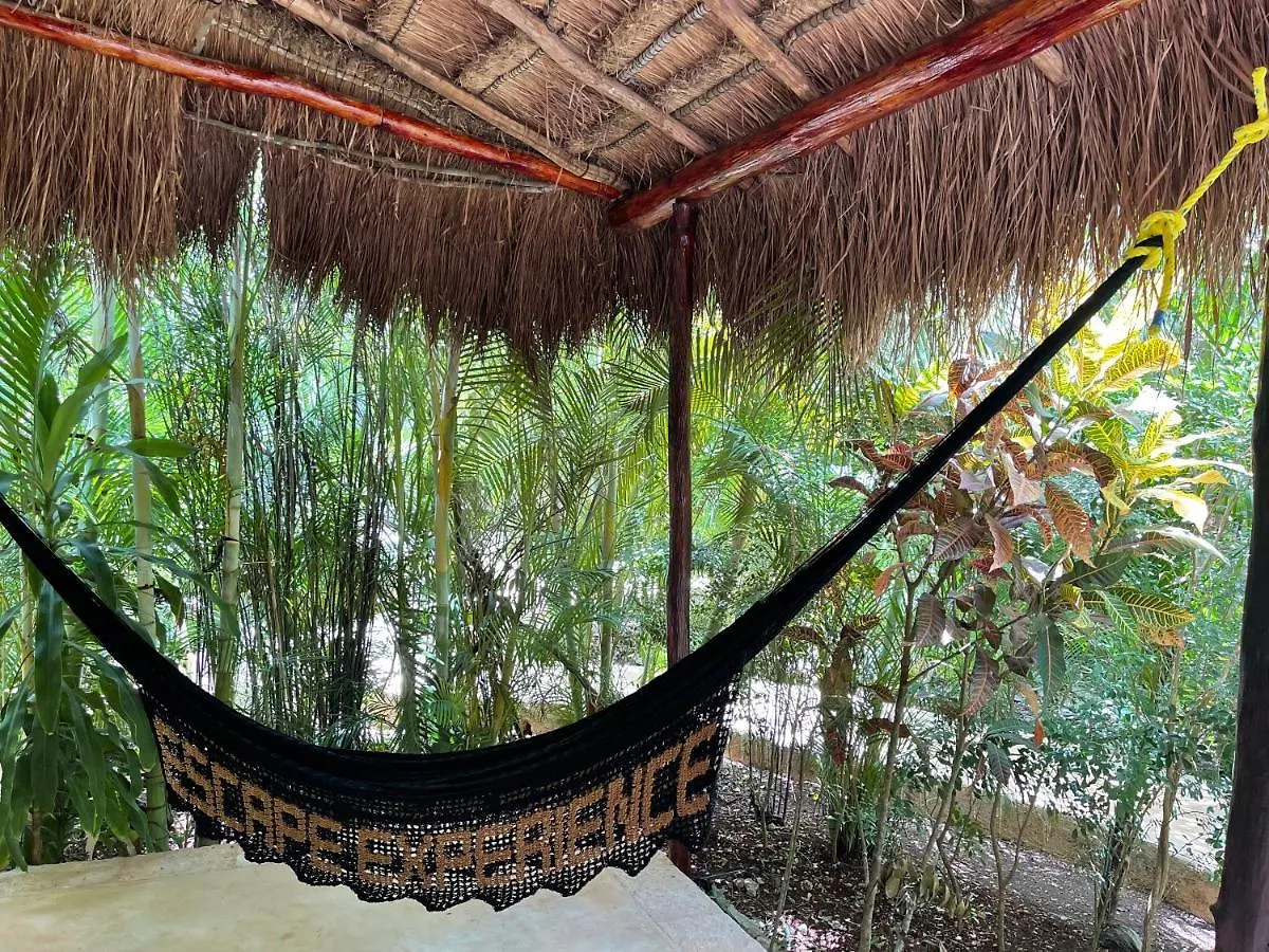 Aldea Coba An Escape Boutique Experience Hotel 4*,  Mexico