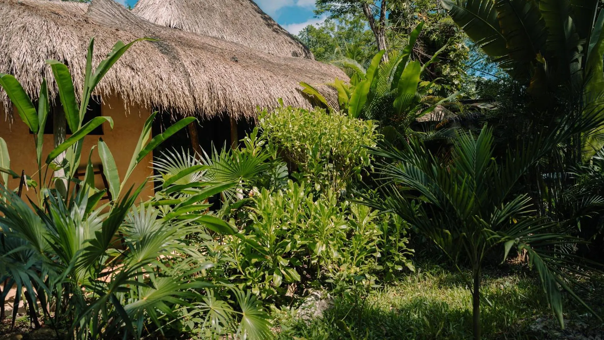 Aldea Coba An Escape Boutique Experience Hotel 4*,  Mexico