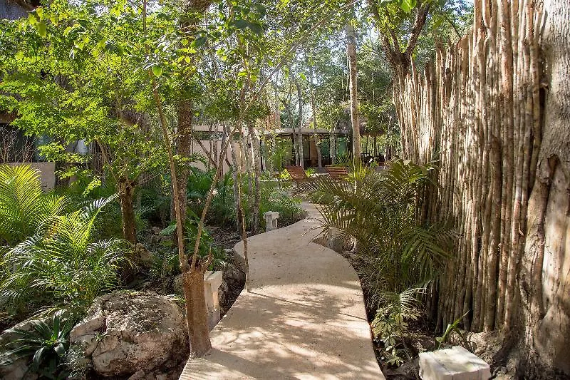 Aldea Coba An Escape Boutique Experience Hotel