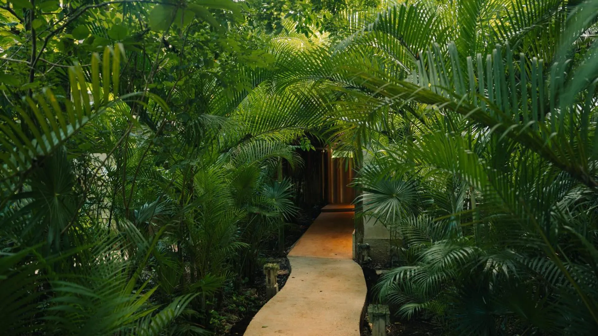 Hotel Aldea Coba An Escape Boutique Experience Messico