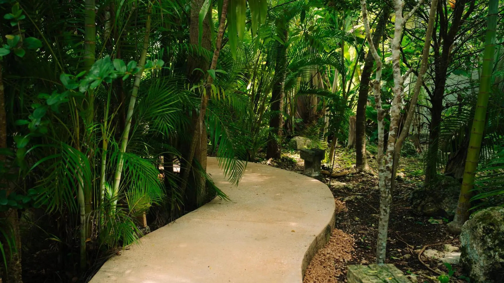 ****  Hotel Aldea Coba An Escape Boutique Experience Messico