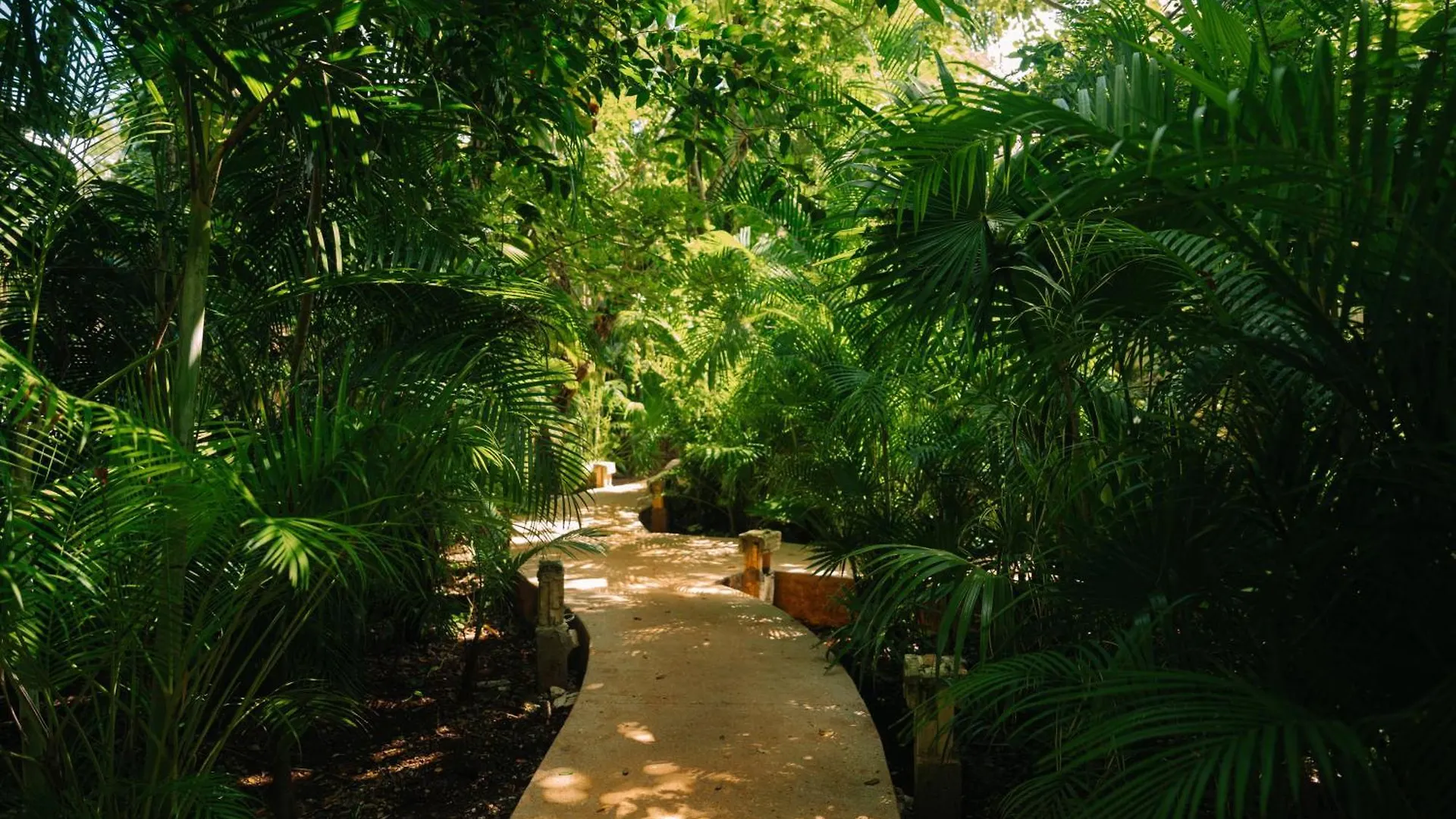 Hotel Aldea Coba An Escape Boutique Experience