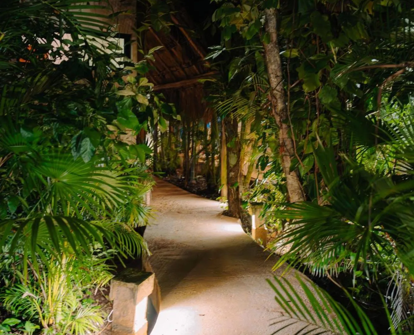 Hotel Aldea Coba An Escape Boutique Experience