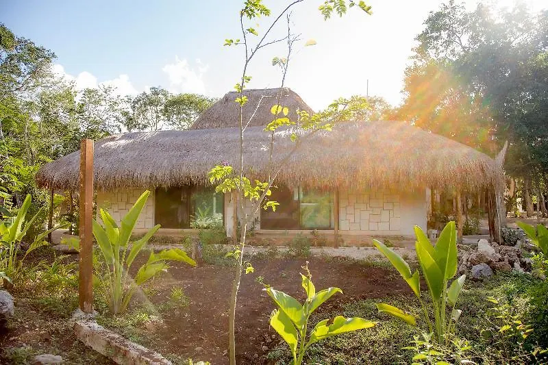 Hotel Aldea Coba An Escape Boutique Experience